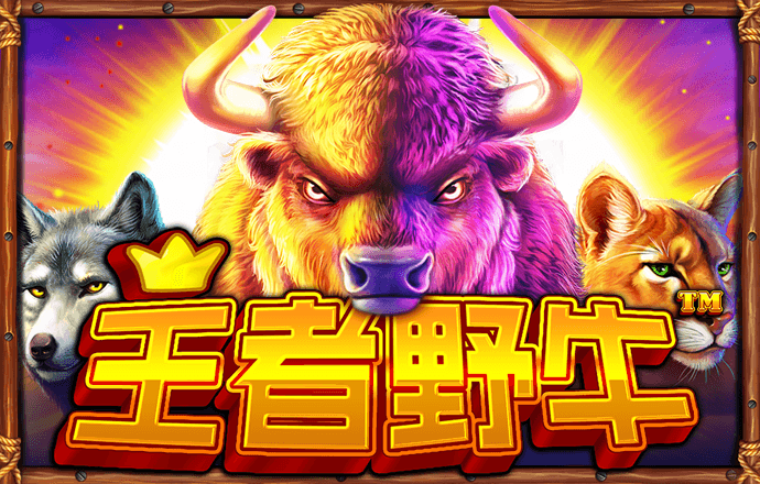 新利体育·luck18