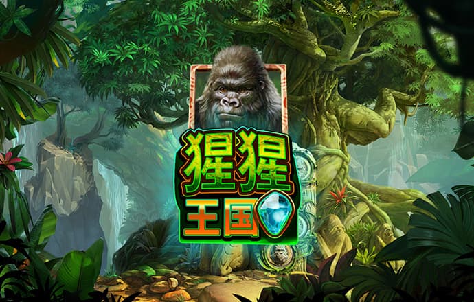 金年华体育平台下载